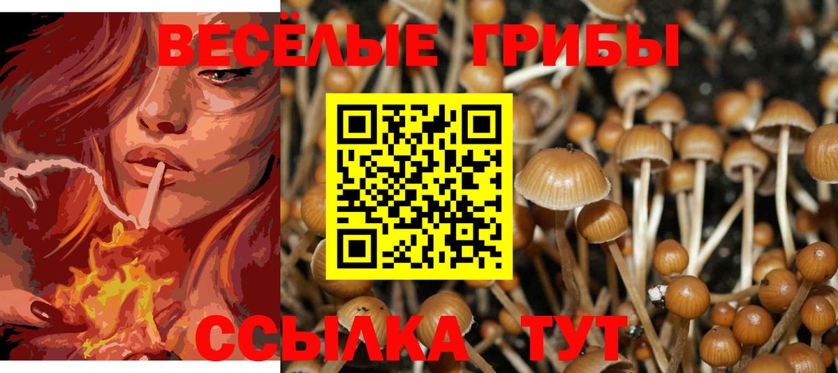 хочу наркоту  Галлюциногенные грибы мицелий  Вход с VPN  Благодарный  Галлюциногенные грибы мицелий 